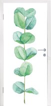 Deursticker Waterverf - Eucalyptus - Plant - 95x235 cm - Deurposter