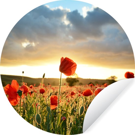 Cirkels Stickers: Creatieve Decoratie