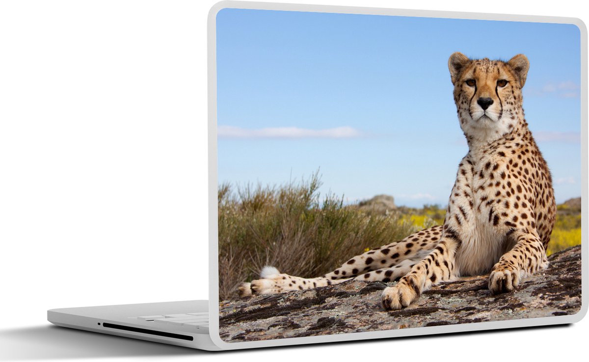 Laptop sticker - 12.3 inch - Luipaard - Dieren - Natuur - 30x22cm - Laptopstickers - Laptop skin - Cover