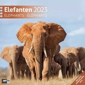 Elefanten 2023 Broschürenkalender