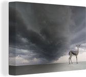 Canvas Schilderij Gazelle - Wolken - Lucht - 80x60 cm - Wanddecoratie