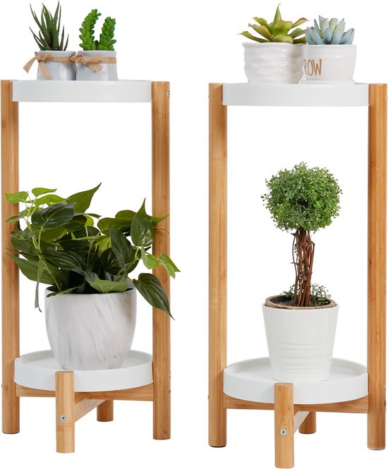 FLORASELF Luchtplantje Tillandsia mix aan metaalstandaard potmaat 10 cm H 25 cm kopen
