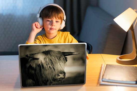 Sticker pour ordinateur portable - 10,1 pouces - Scottish Highlander - Animaux - Cheveux