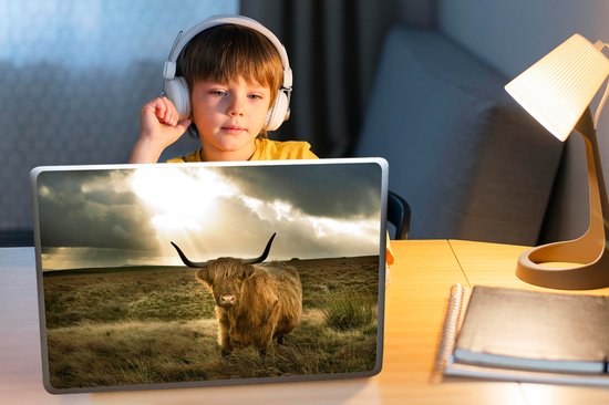 Laptop sticker - 15.6 inch - Schotse Hooglander - Zon - Dieren - 36x27,5cm - Laptopstickers - Laptop skin - Cover