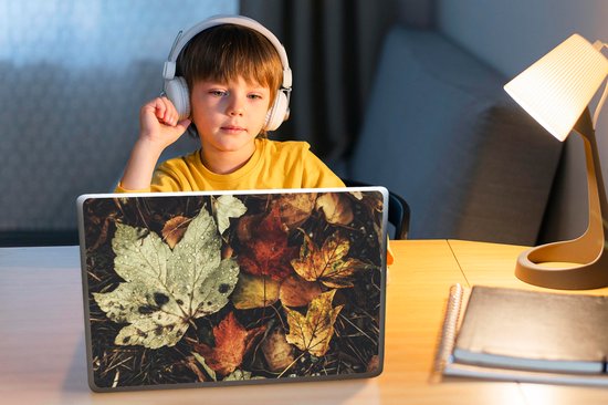 Laptop sticker - 14 inch - Herfstbladeren - Herfst - Seizoenen - Natuur - 32x5x23x5cm - Laptopstickers - Laptop skin - Cover