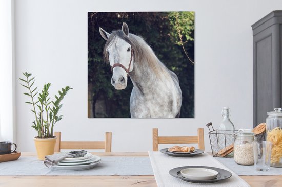 Tableau sur toile Cheval - Halter - Nature - 90x90 cm - Décoration murale