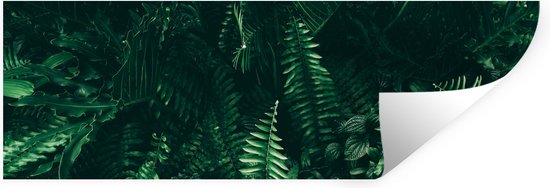 Muurstickers - Sticker Folie - Bladeren - Jungle - Natuur - Tropisch - Planten - 150x50 cm - Plakfolie - Muurstickers Kinderkamer - Zelfklevend Behang - Zelfklevend behangpapier - Stickerfolie