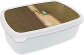 Broodtrommel Wit - Lunchbox - Brooddoos - Trekker - Tractor - Akker - Land - Boerderij - Oogst - 18x12x6 cm - Volwassenen