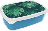 Broodtrommel Blauw - Lunchbox - Brooddoos - Monstera - Bladeren - Planten - Jungle - Natuur - 18x12x6 cm - Kinderen - Jongen