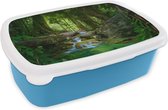 Broodtrommel Blauw - Lunchbox - Brooddoos - Jungle - Stenen - Water - Natuur - Planten - 18x12x6 cm - Kinderen - Jongen