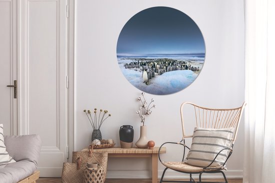 Manchots empereurs au dessus du ciel sombre Cercle mural aluminium ⌀ 140 cm