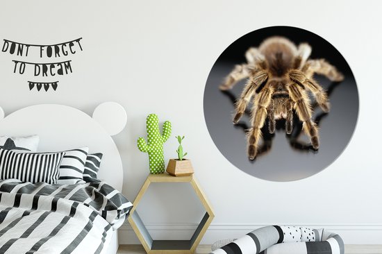 Close-up tarentule Cercle mural aluminium ⌀ 140 cm