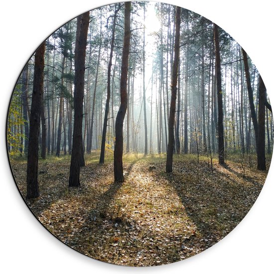 WallClassics - Dibond Muurcirkel - Kronkelende Bomen - 30x30 cm Foto op Aluminium Muurcirkel (met ophangsysteem)