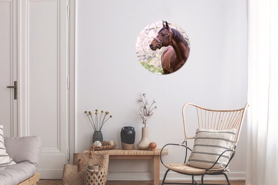 Wall Circle - Wall Circle - Cheval - Sakura - Licol - Aluminium - ⌀ 30 cm - Intérieur et Extérieur