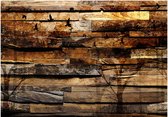Fotobehangkoning - Behang - Vliesbehang - Fotobehang Vogels op Houten Planken - Reflection of Nature - 200 x 140 cm