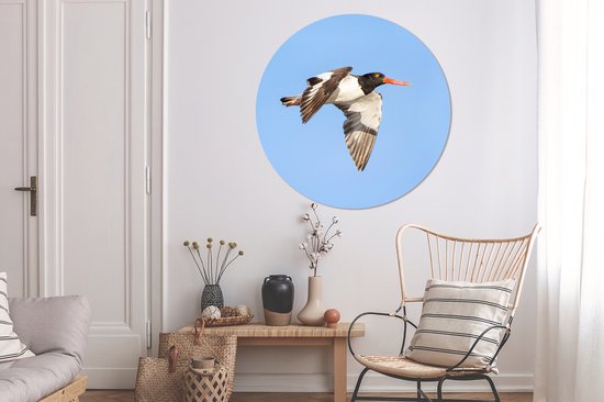 Un huîtrier volant et coloré en vol Cercle mural aluminium ⌀ 140 cm