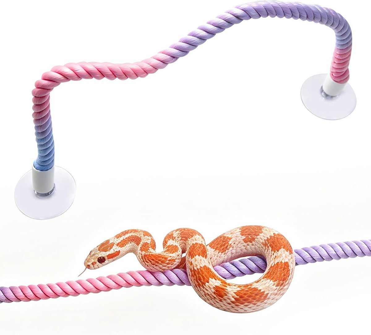 Klimtouw voor Slangen (Verrijking), Terrariumaccessoire voor Koningspythons met Sterke Zuignappen, Flexibele Draadkern voor Slangenterraria – Geschikt voor Koningspythons beklimmen accessoires