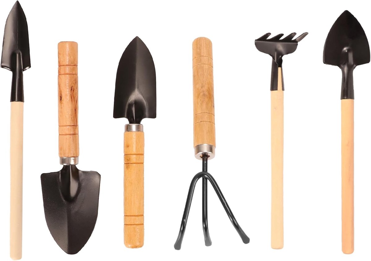 6-delige tuingereedschapset - miniatuur tuinset met houten handvat schoppen, harken voor vetplanten, kamerplanten, bloemverzorging in pot - tuinaccessoires voor plantenliefhebbers thuis en op kantoor