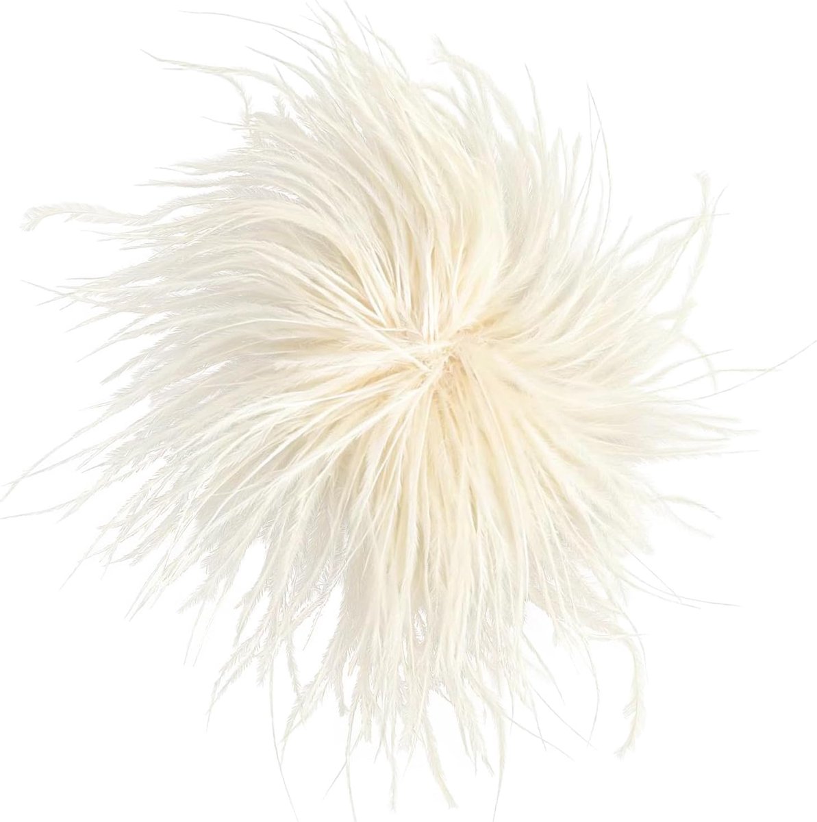Verenbroche voor dames, 1 stuk, verenbroche van 15 cm