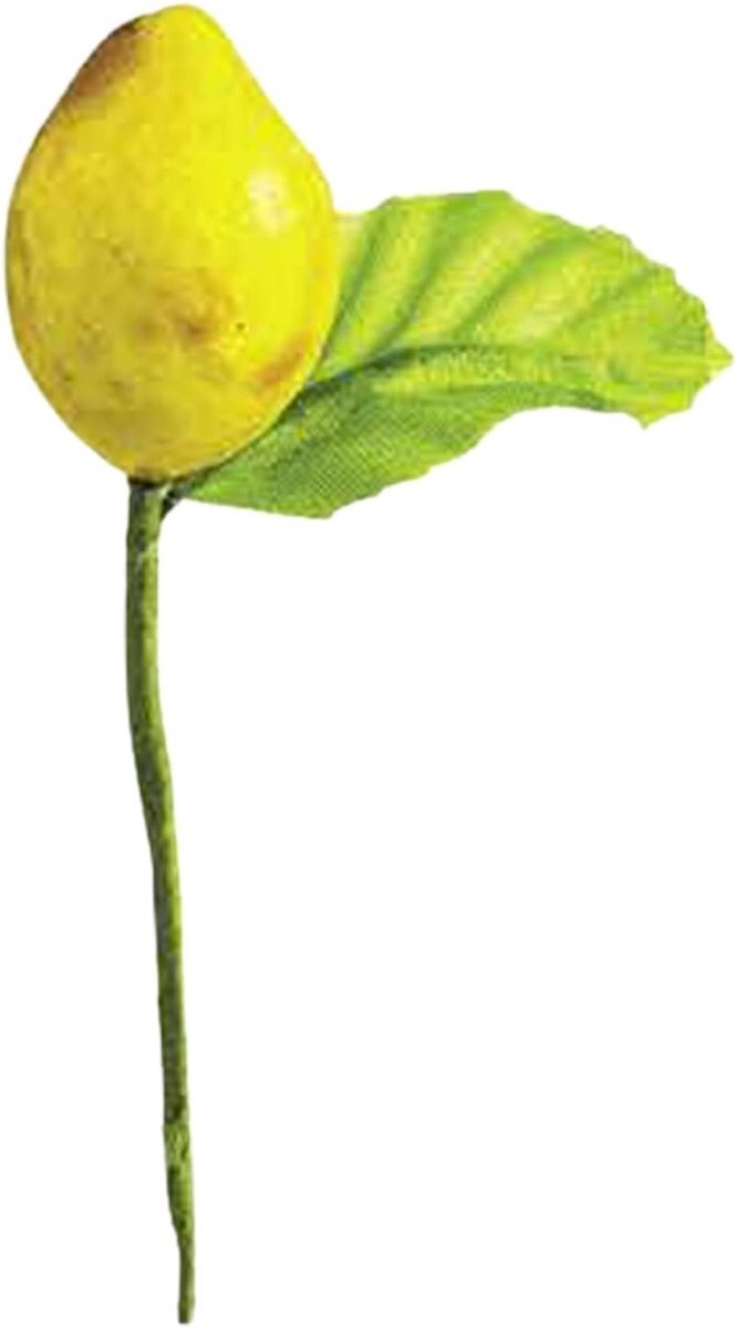 144 limoni medi con foglia DECORAZIONE BOMBONIERA Frutto Limone