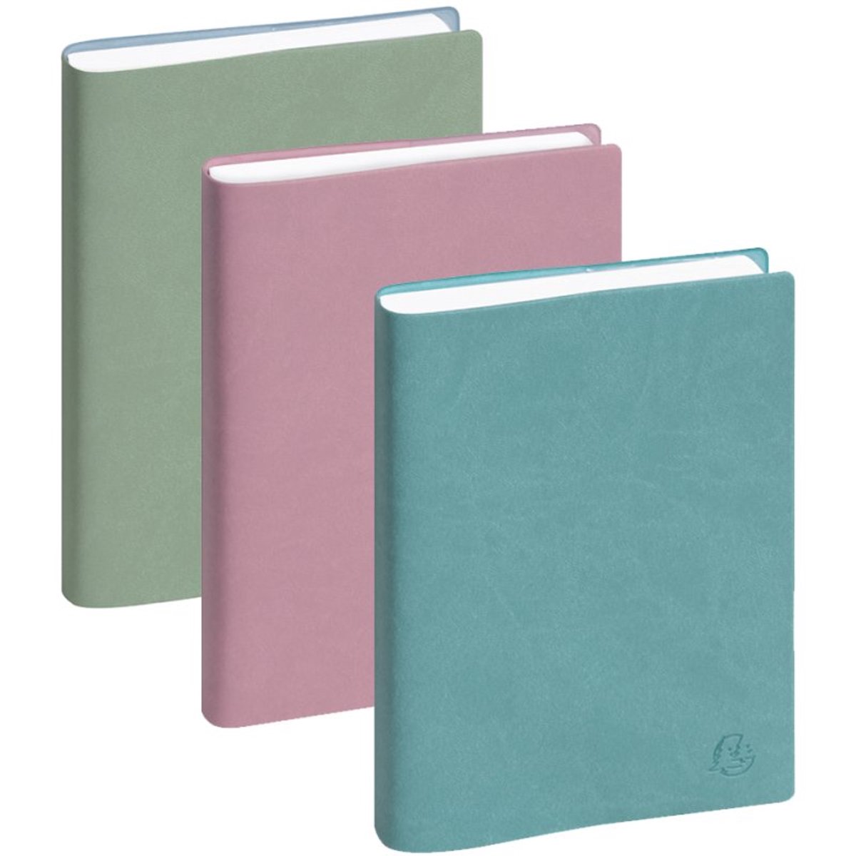 EXACOMPTA zakagenda EasyDay 17, 120 x 170 mm, 1 dag per pagina, pak van 5 stuks