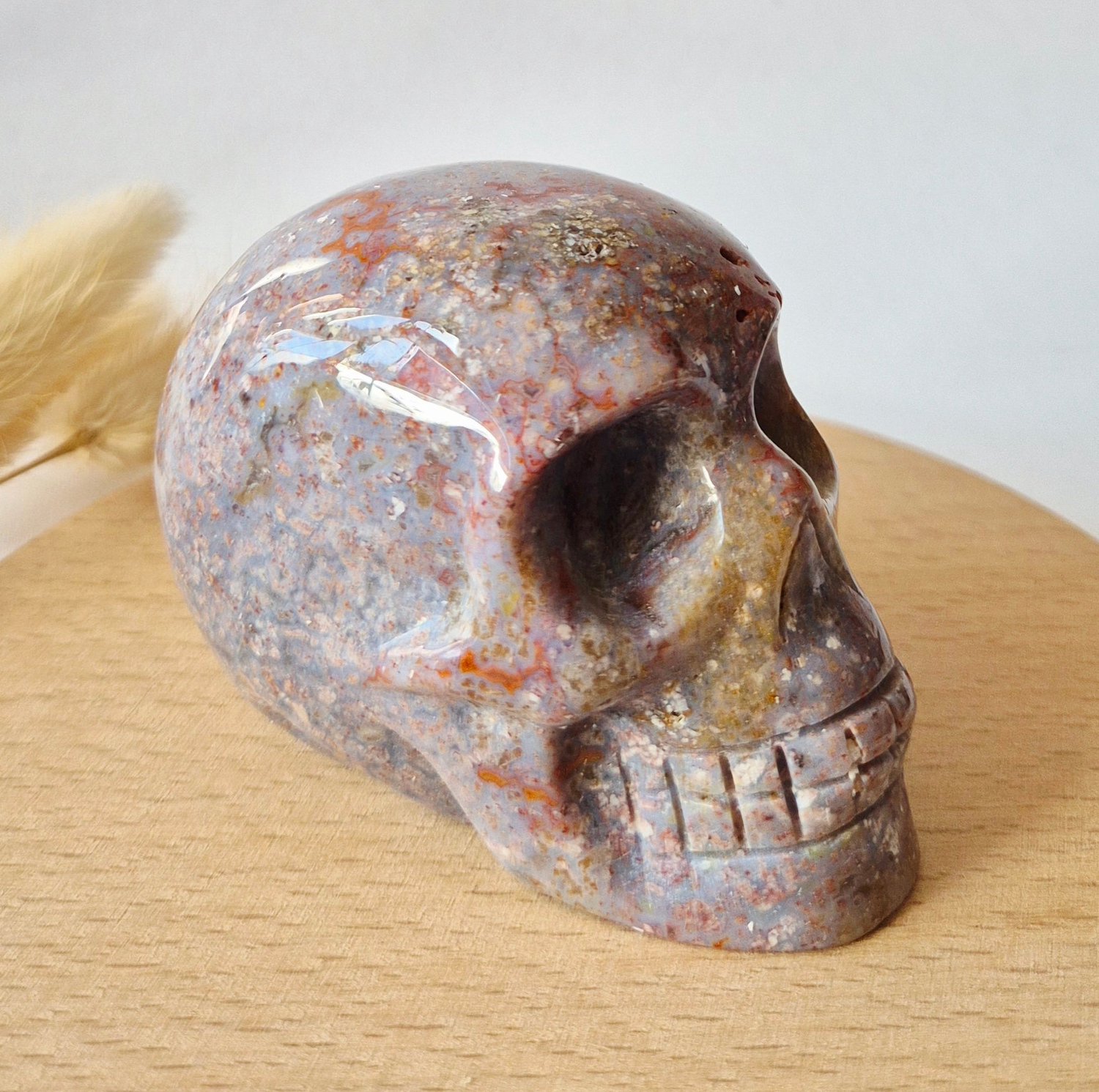 Moonlight Gemstones XL Ocean Jasper Skull 300g – 8 cm Edelsteen Schedel Meerkleurig