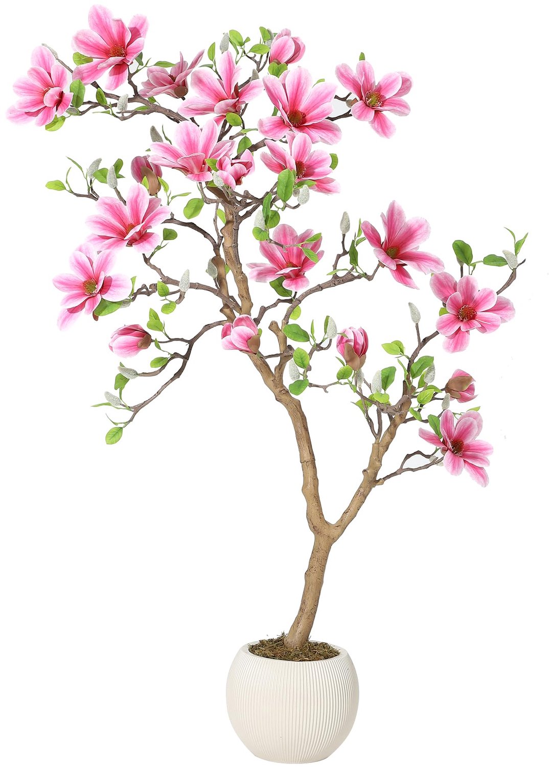 Triumpunpre Kunstmagnolia 120 cm met witte bloemen - Nep magnoliaboom op naturel stam - Onderhoudsvrije sierboom voor interieur