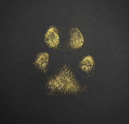 Inktloze poot of neusafdruk printkit - Zwart papier met gouden afdruk -Groot printpad - Herinneringskit Poot of neusafdruk Huisdier - Inktloos, Gouden Afdruk op Zwart - Poot of neusafdruk Hond & Kat van Merkloos — afbeelding 5