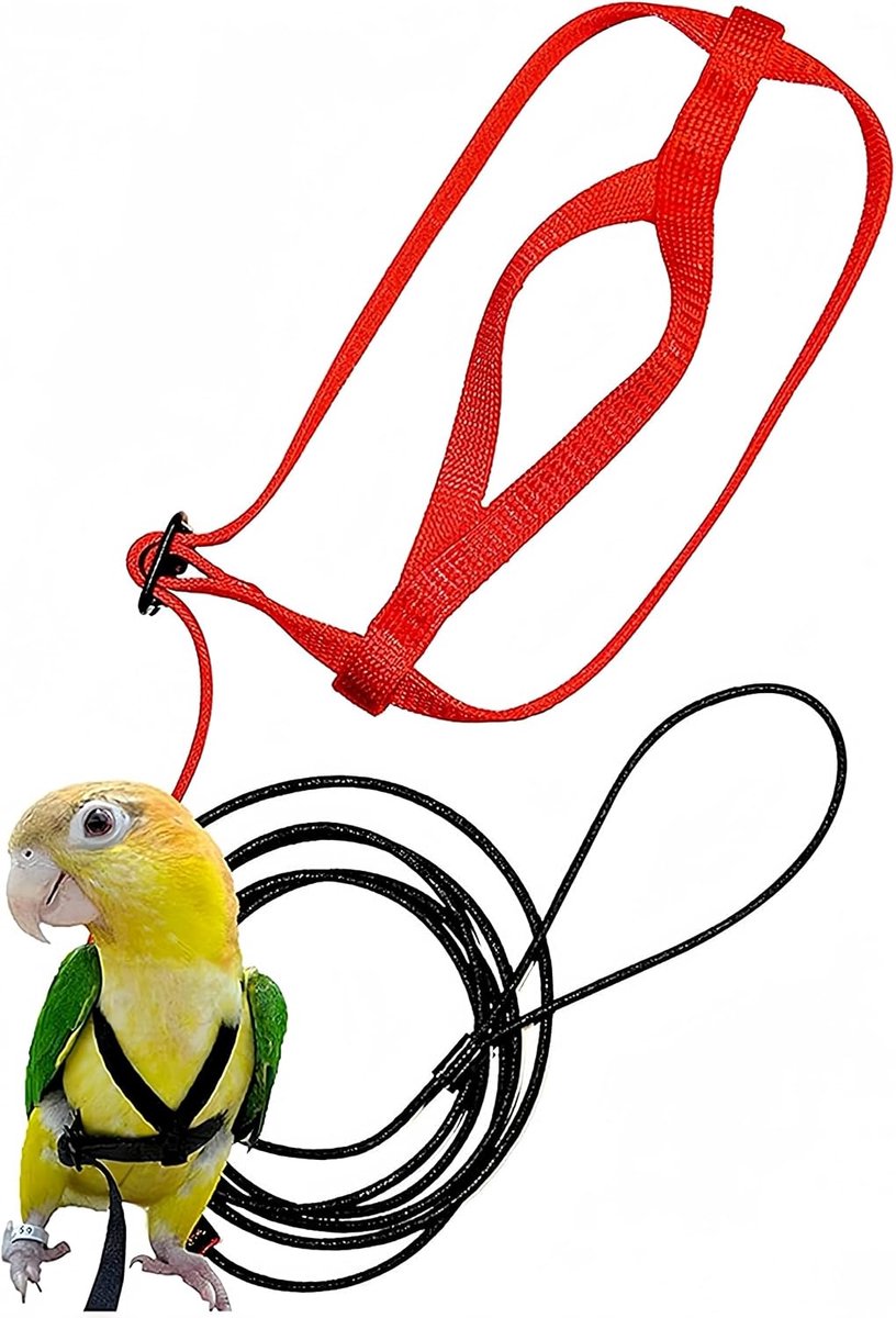 Vogelharnas met riem, verstelbaar vliegtuig voor huisdieren, voor parkieten en papegaaien, outdoor-activiteiten en anti-bijttraining voor valkparkieten, alexandrenten, parkieten en kleine vogels (S)