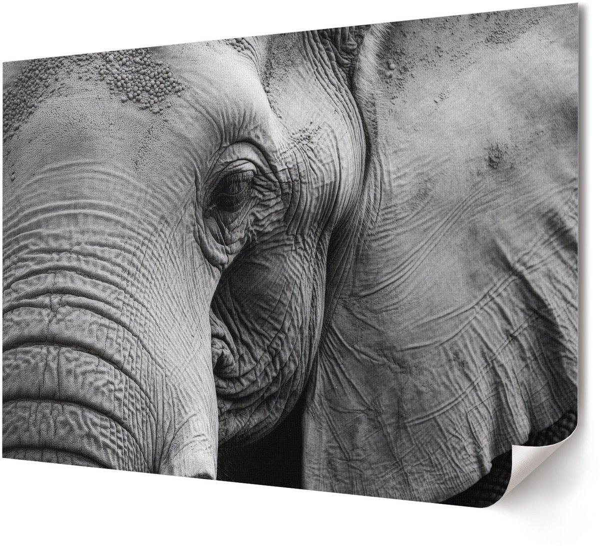 Coloray Polycanvas Wandposter - Bloemenweide, Illustratie - A4 - Groen Illustratie - Rechthoek - Muurkunst - Woonkamer, Slaapkamer, Kantoor - Expressief