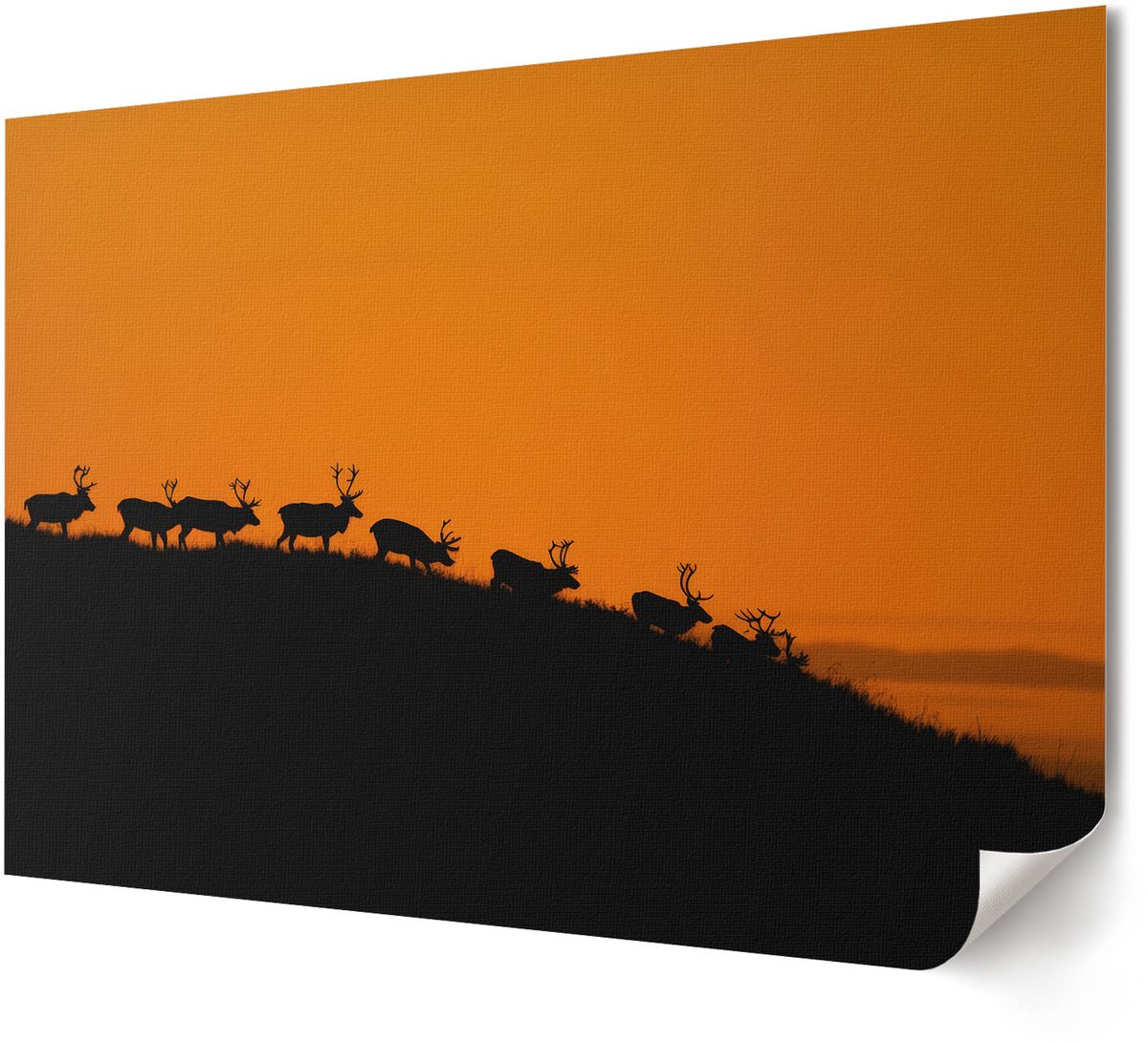 Coloray Canvas Poster Polycanvas - Stoomtrein, Fotografie - A4 - Groen Patroon - Rechthoek - Wandkunst - Woonkamer, Slaapkamer, Kantoor - Klassiek