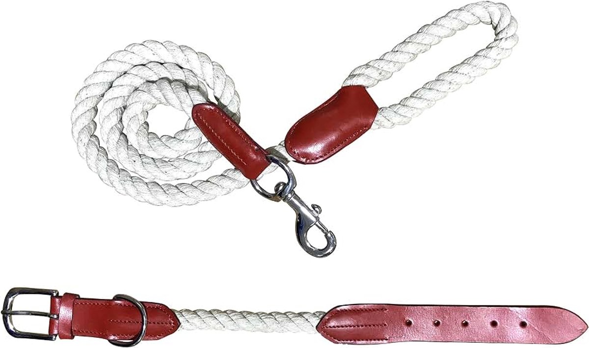 Hondenhalsband en lijn van echt leer gesorteerd, 14-18 Pouces, Rood 2
