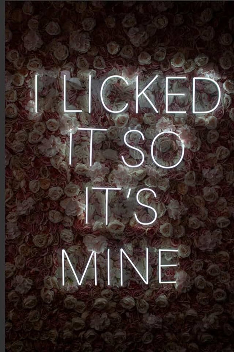 Licked It, So Its Mine: Notebook