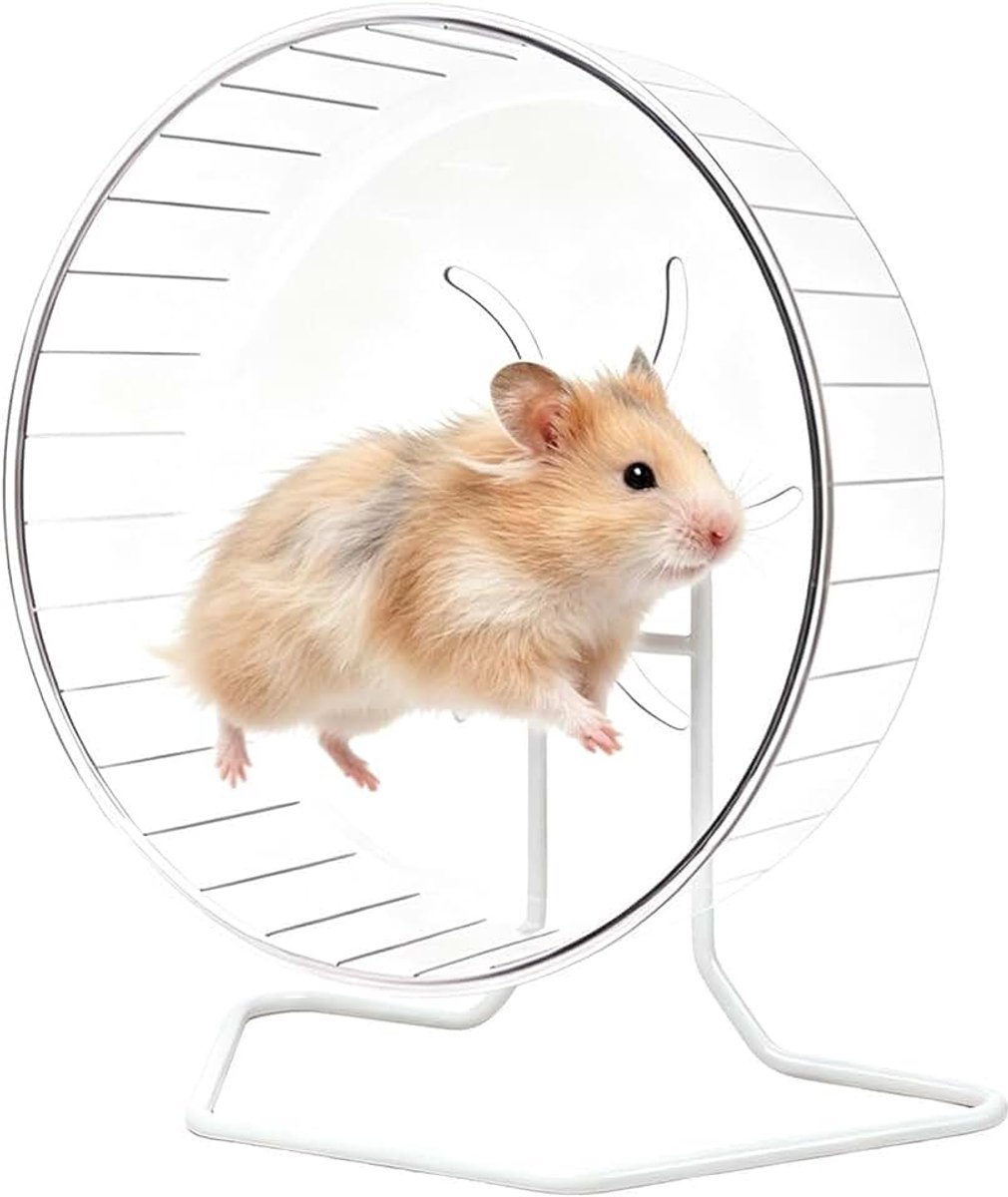 Looprad voor Gerbils Stille Doorzichtige Looproller Met Standaard | Hamster Loopwielen Voor Beweging Voor Gerbils, Muizen, Suikereekhoorns, Egels, Fretten, Konijnen - Verrijking Huisdier