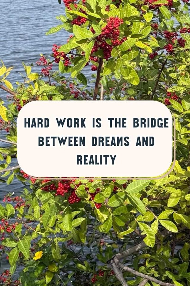 Work Is The Bridge Between Dreams And Reality: Inspiration Collector & On-the-Go Organiser