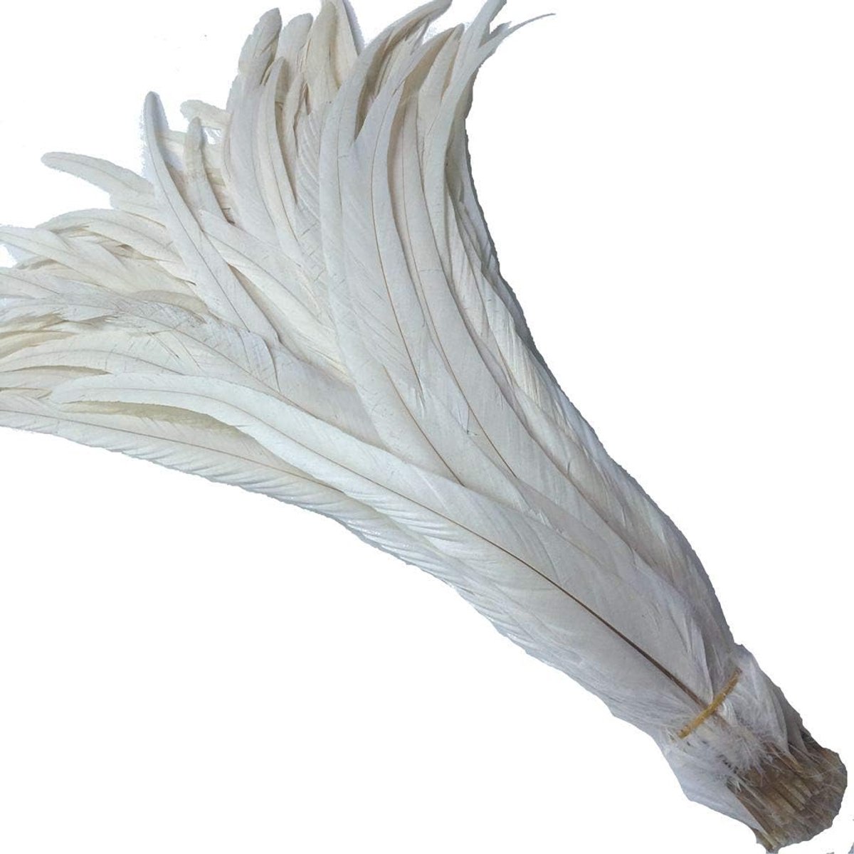 12-14 inch Haan Staart Veer Gebruik voor Hoeden Kostuum Decoratie Pack van 50 (off Wit)
