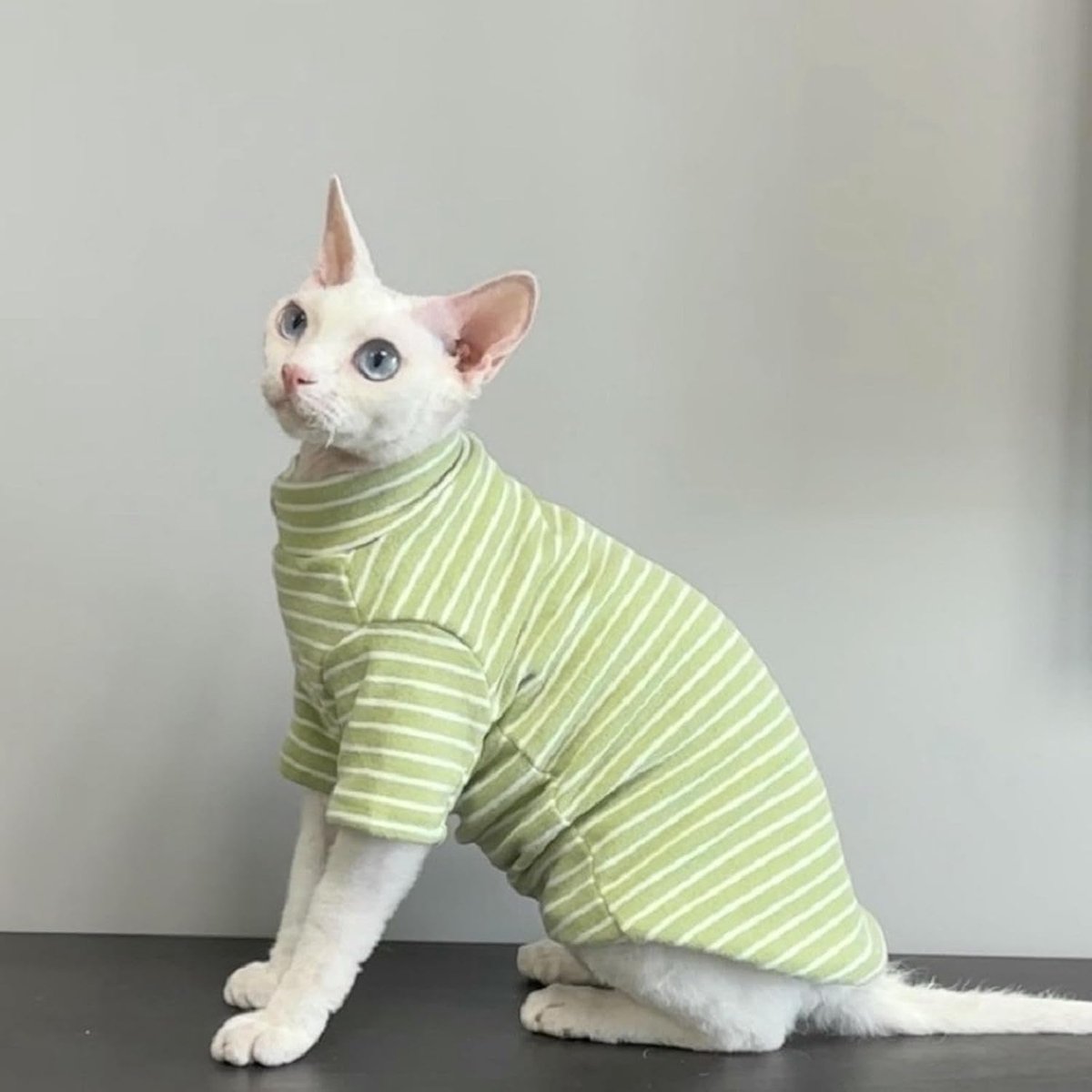 Gezellige halloween kattentruien voor haarloze katten - warme herfst- en wintergestreepte kleding met elastische pasvorm - zachte devon krullend kattenkostuums-L