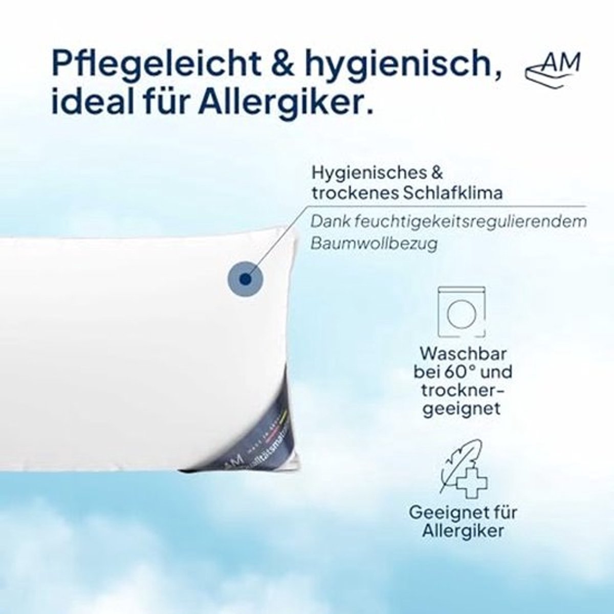 Hoofdkussen 45x70 cm - 3 compartimenten met 100% natuurlijk dons - Extra zacht en ademend