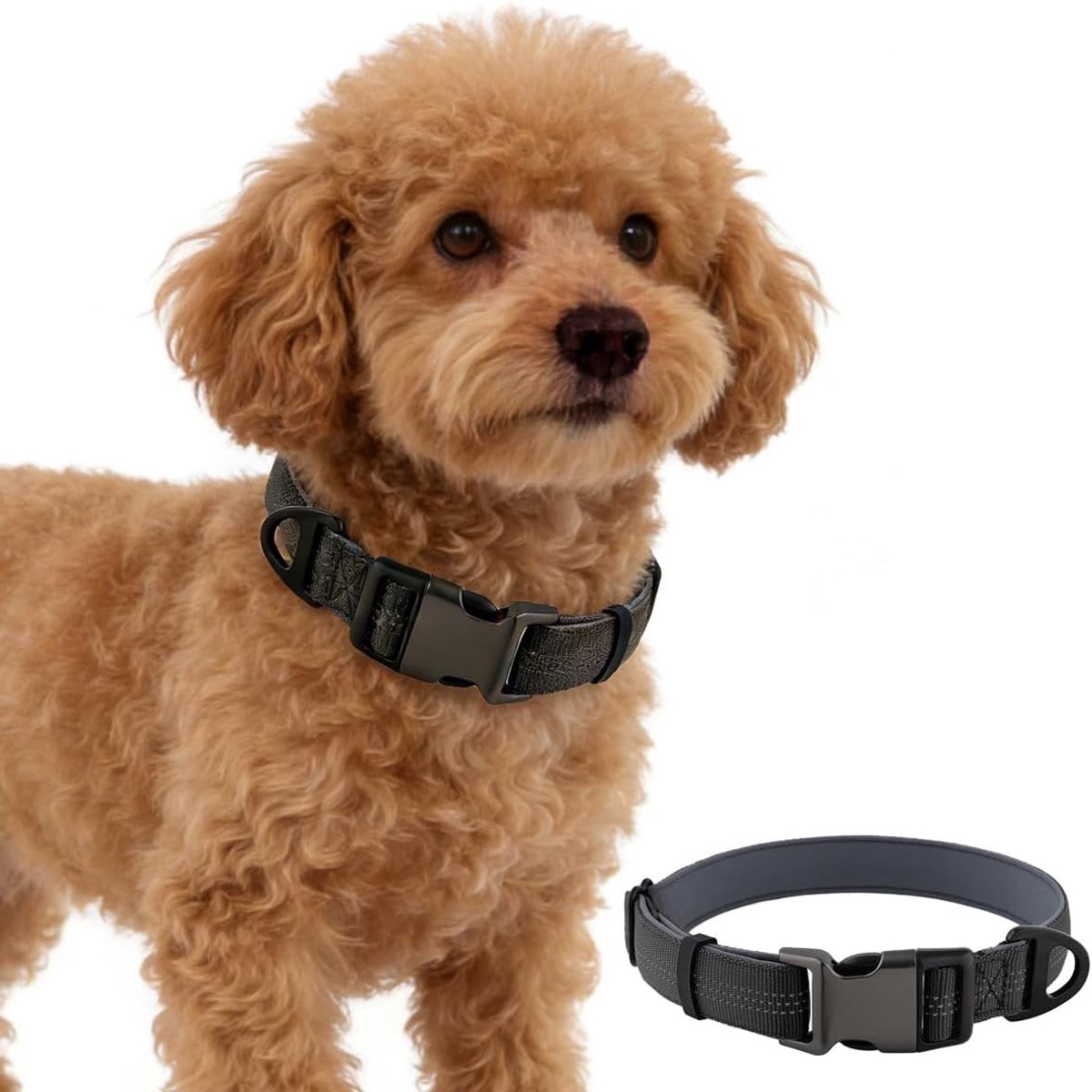 Tactische hondhalsband voor kleine honden, zacht gevoerd met handvat, verstelbaar, zwart, 25-33 cm, ideaal voor training en dagelijks gebruik