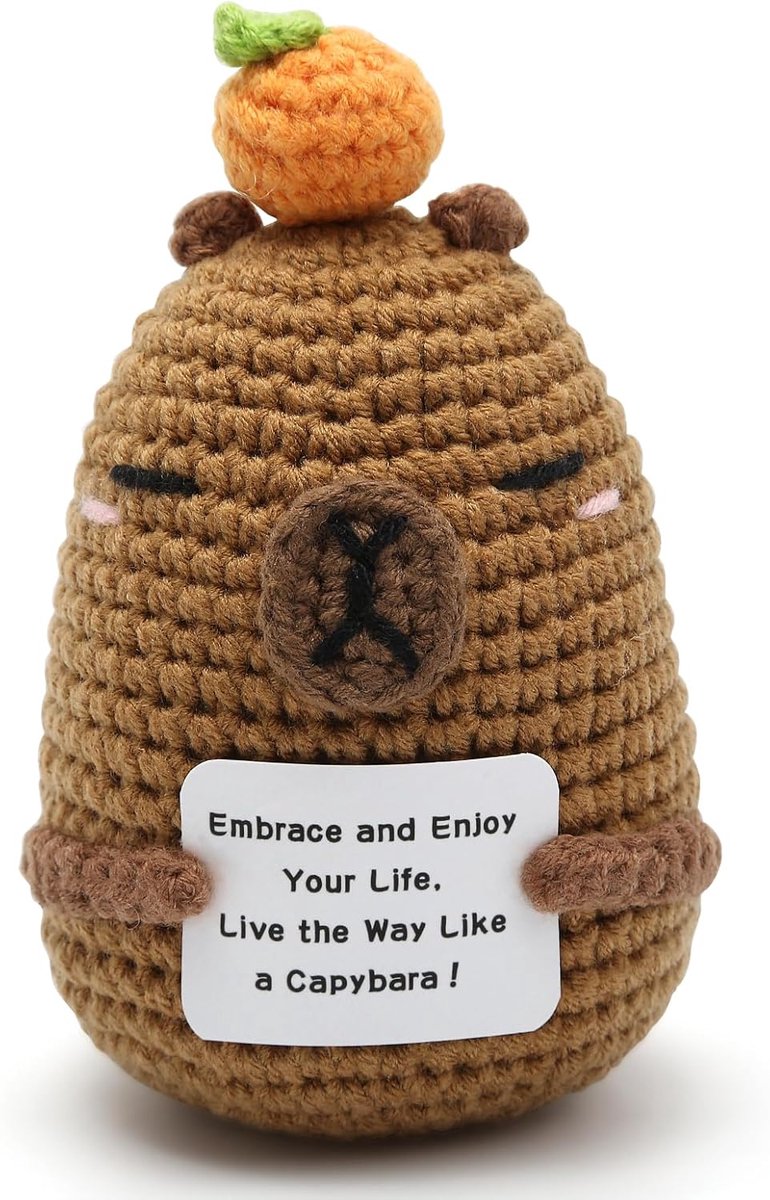 Ondersteuning Capibara, nieuwigheid Pocket Hug Gift Kleine Gebreide Positieve Capibara Ornament Leuke Positieve Bevestiging Geschenken voor Vrouwen, Moeder, Vader, Kerstmis