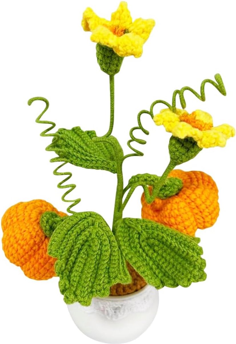 Pompoen Potplanten Leuke Handgemaakte Breien Pompoen Bloemen Kleine Ingemaakte Kunstgroenten Voor Auto Dashboard Thuis Kantoor Bureau Decor