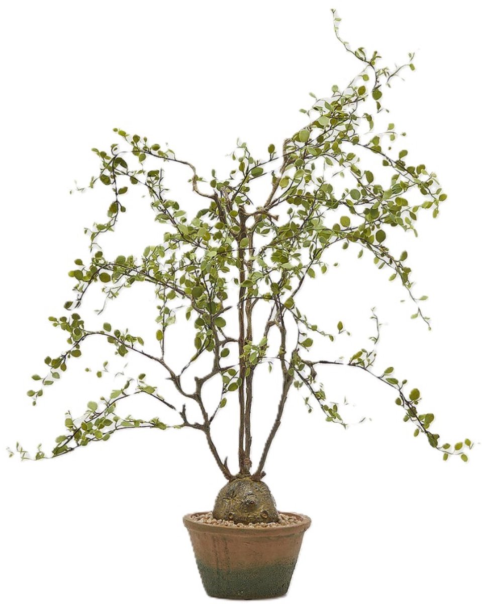 EDG - Kunstplant - Groen - D15 x H66 cm