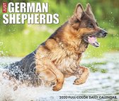 Duitse Herder Kalender 2020 Boxed