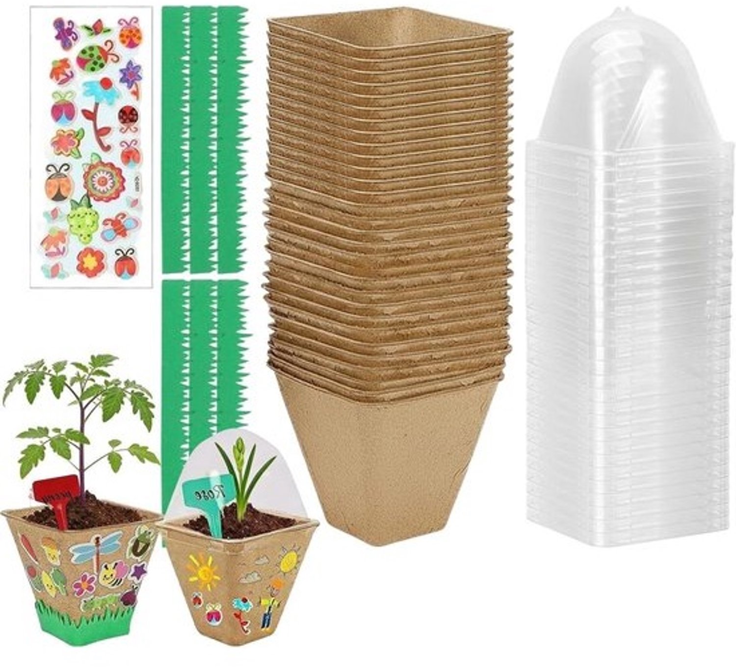Zaaipakket voor kinderen - Educatief tuinieren - Leren over de natuur - Praktische MINT-ervaring - 26 x 29 x 13 cm - Multicolor