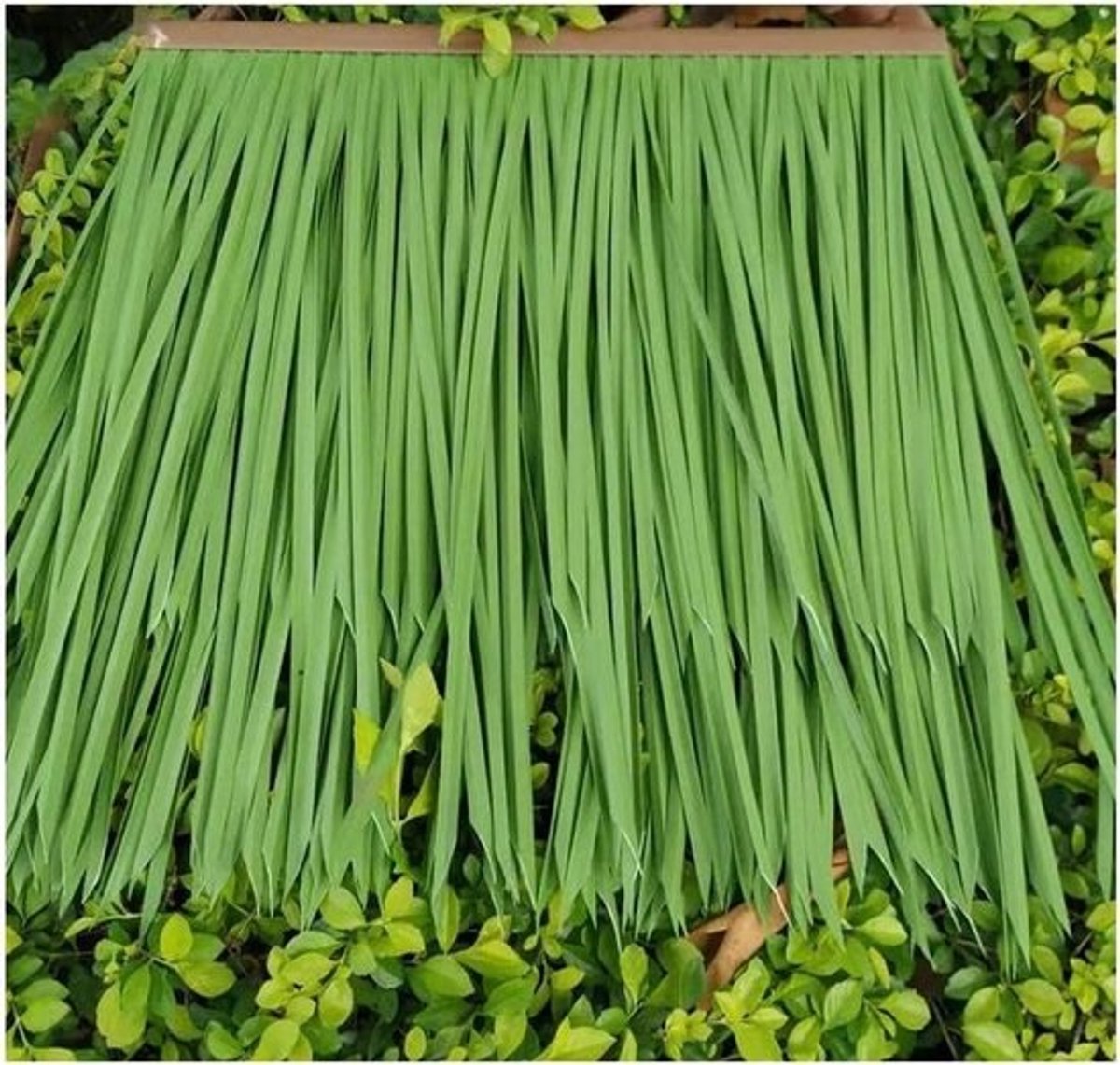 Kunst rieten dak - Nepgrasdak - Decoratie bouwen - Vlamvertragend materiaal - 0.5x0.5m per stuk - Bruin