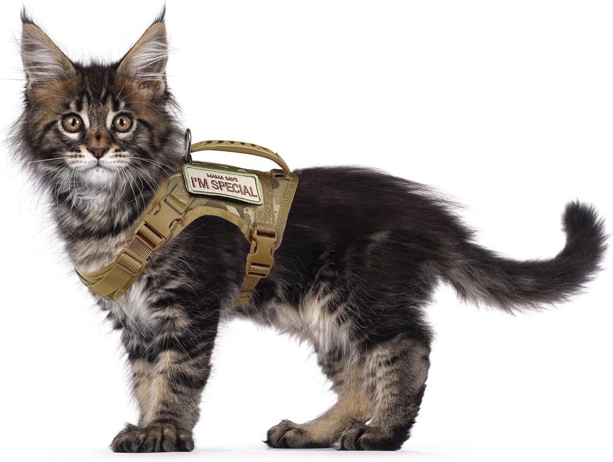 Kattenharnas om te wandelen, ontsnappingsbestendig, verstelbaar huisdierharnas van zacht gaas voor grote katten, kleine honden (L, kaki)