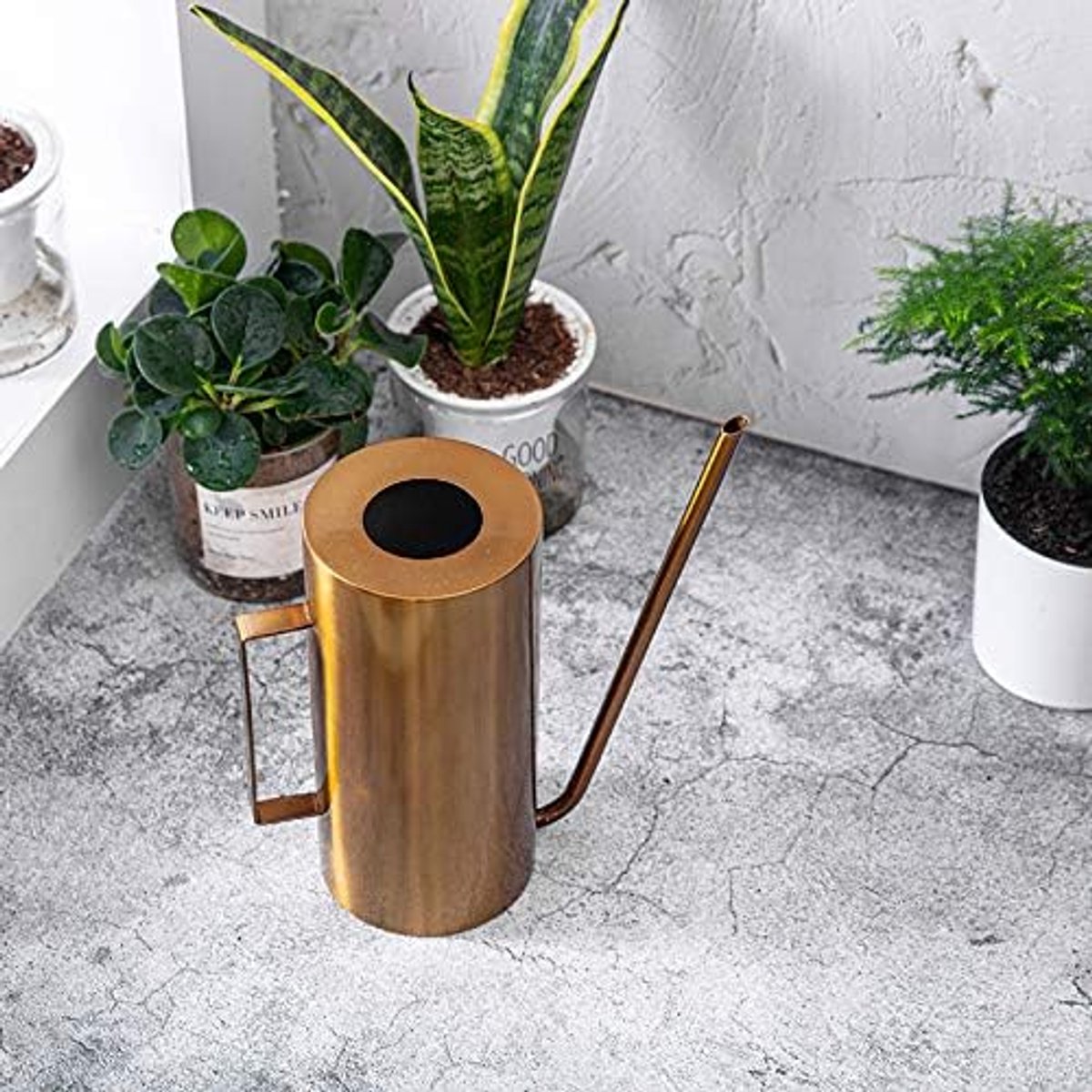 Gieter 5 oz/1.5L roestvrij staal lange uitloop gietpot voor buiten en binnen kamerplanten (goud)