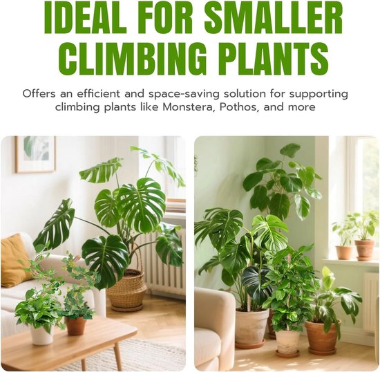 Set van 2 Vouwbare Klimplant Steunen voor Monstera, 70 cm Hoog, Geschikt voor Binnenplanten, Ideaal voor Tuin en Interieur — afbeelding 2
