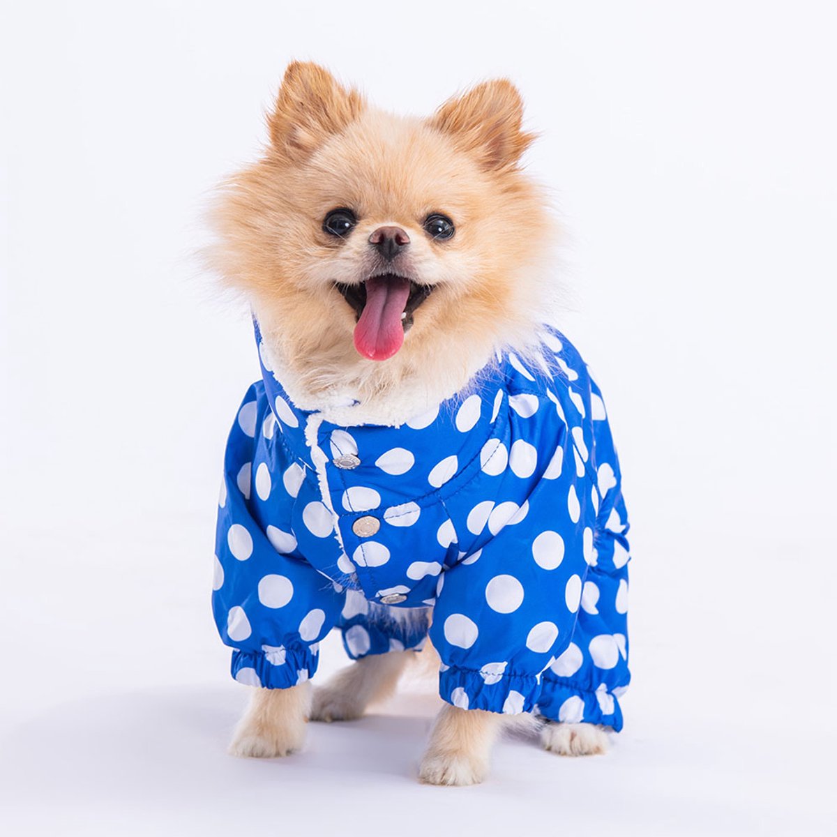 Pawstar Dots - Hondenoverall - Blauw - XL