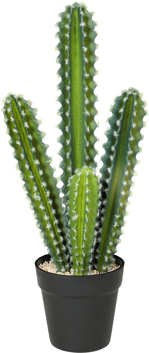 Homona Kunstplant Kaktus - Met pot - 53 cm hoog - Groen